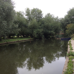 Body Found In River Cam