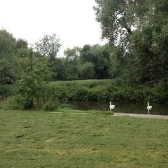 Body Found In River Cam