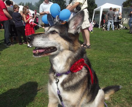 Heart & Bath Family Fun Day