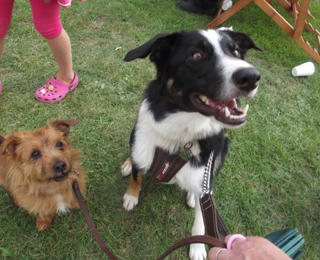 Heart & Bath Family Fun Day