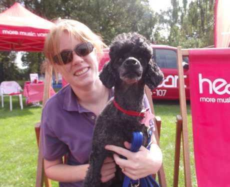 Heart & Bath Family Fun Day