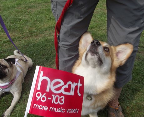 Heart & Bath Family Fun Day