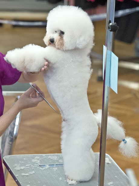 Cute Pictures Of The Week