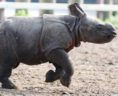 Cute Pictures Of The Week