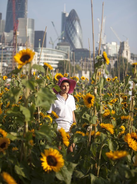 Weird And Wonderful Pictures Of The Week