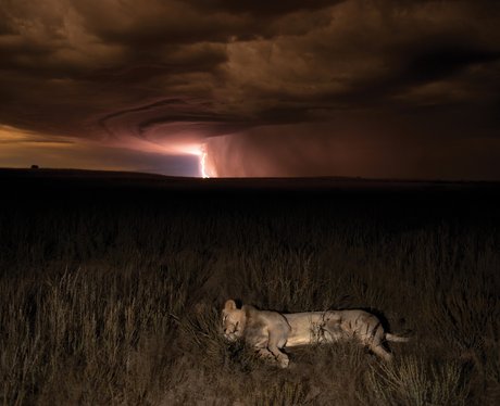 Photographer Hannes Lochner Wildlife Photographer
