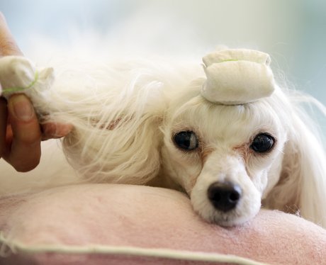 Cute Pictures Of The Week