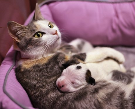 Cute Pictures Of The Week