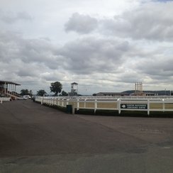 Taunton Racecourse 
