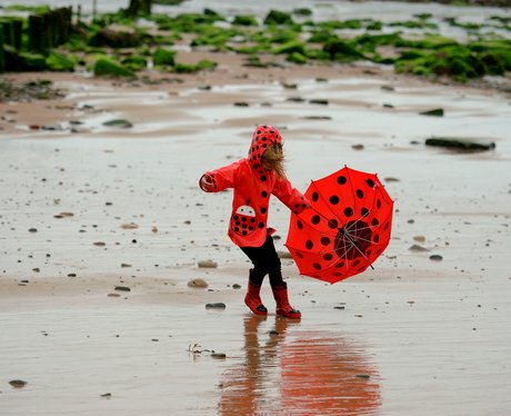 Weird And Wonderful Pictures Of The Week