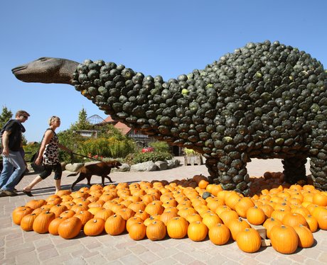 Weird And Wonderful Pictures Of The Week