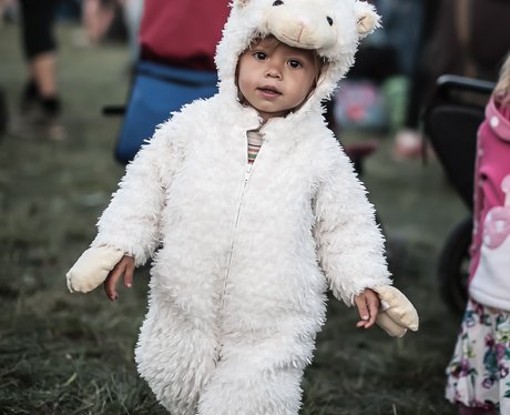 Child in a sheep costume
