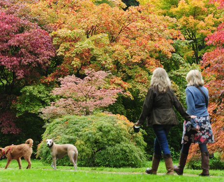 Autumn Colours in Gloucestershire