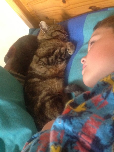 You and Your Pets