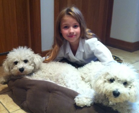 You and Your Pets