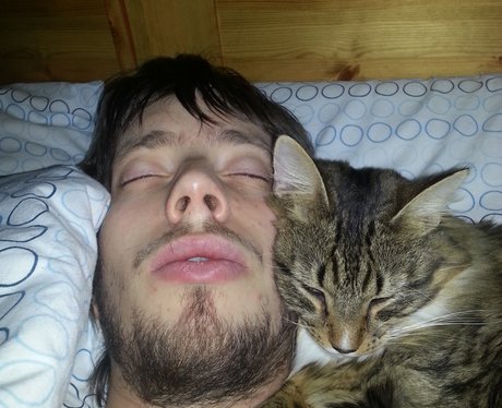 You and Your Pets