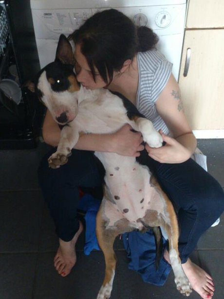 You and Your Pets