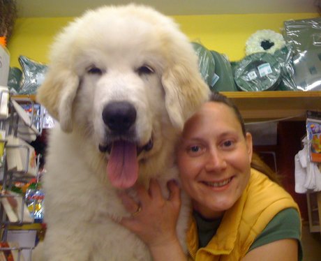 You and Your Pets