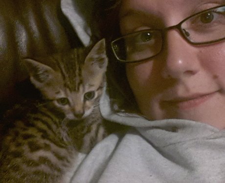 You and Your Pets