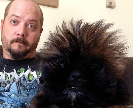You and Your Pets