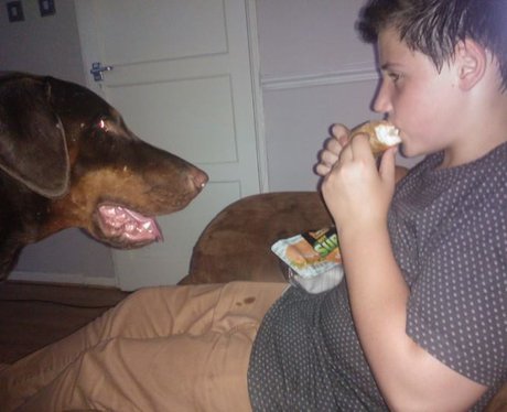 You and Your Pets