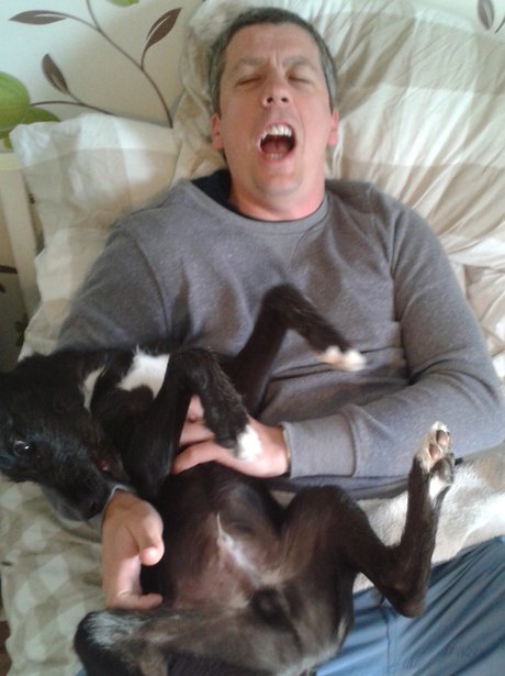 You and Your Pets