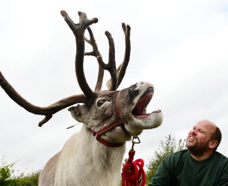 Cute Pictures Of The Week