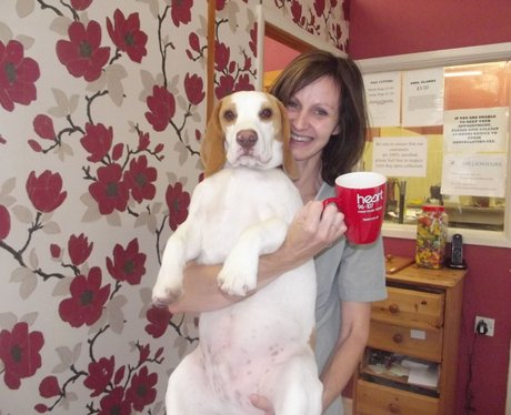 Mug Makeover In The West Country