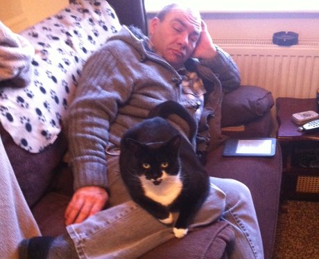You and Your Pets
