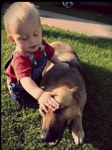 You and Your Pets