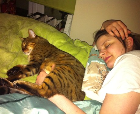 You and Your Pets