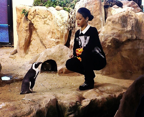 Rihanna and a penguin