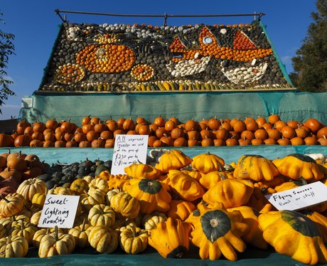 a pumpkin display of cinderella's carriage