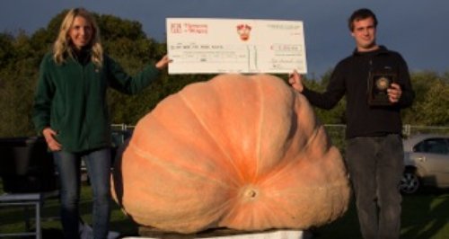 winning pumpkin by Wareham farmer Mark Baggs