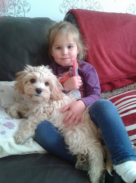You & Your Pets