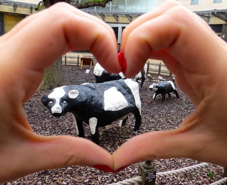 Giving it some Heart in Four Counties