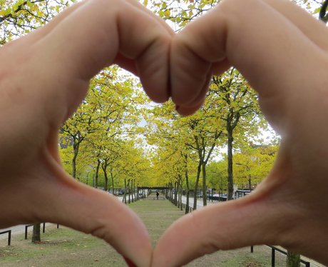 Giving it some Heart in Four Counties