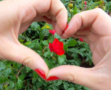 Giving it some Heart in Four Counties