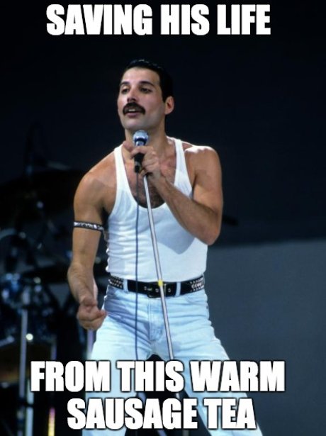 Freddie Mercury singing onstage