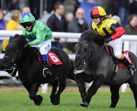 jockey's riding shetland ponies