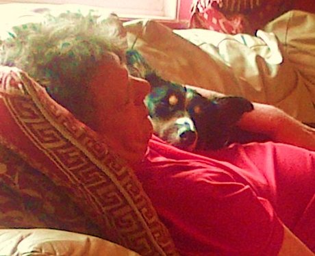 You & Your Pets