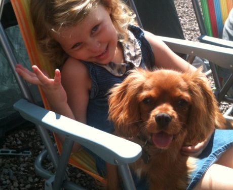 You & Your Pets