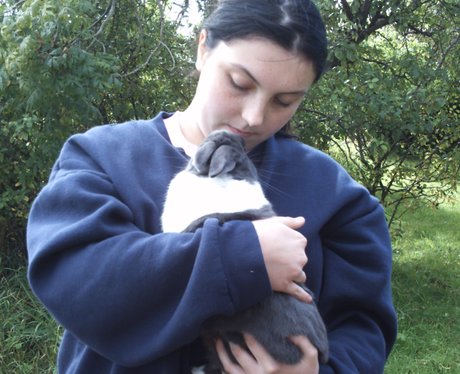 You & Your Pets