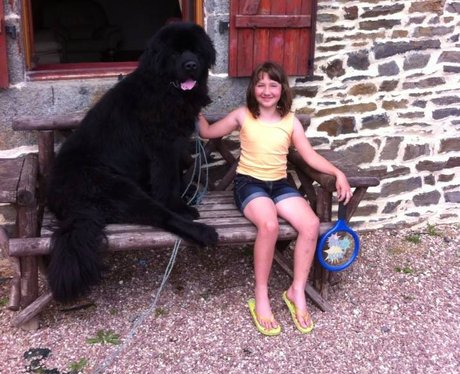 You & Your Pets