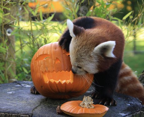 Cutest Picture Of The Week