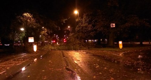 Fallen tree in Southampton