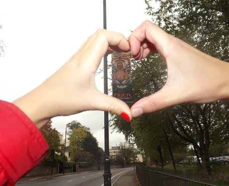Heart Angels