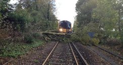 SW Trains - 29 trees down on lines