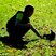 Image 10: boy feeds squirrel in the sun at Tamworth