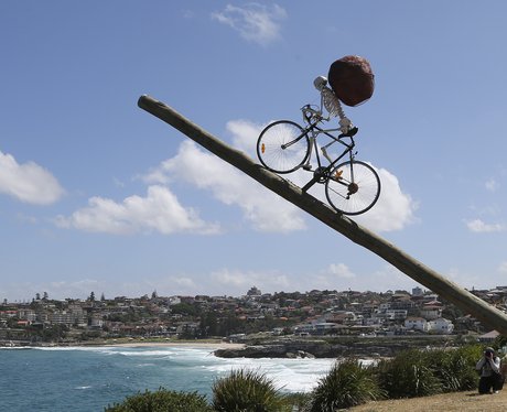 Weird And Wonderful Pictures Of The Week